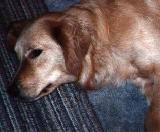 Pic of Trudy