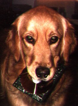 Pic of Trudy