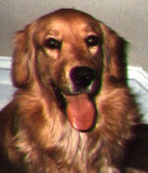 Pic of Trudy